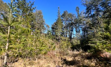 Parcelas Con Vista Al Volcán A 20 Min De Lican Ray