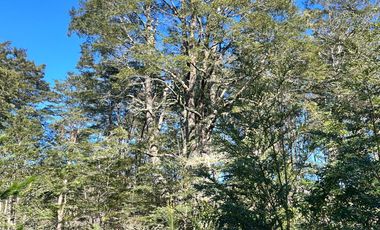 Parcelas Con Vista Al Volcán A 20 Min De Lican Ray