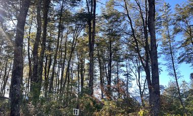 Parcelas Con Vista Al Volcán A 20 Min De Lican Ray