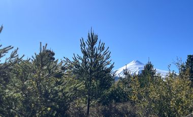 Parcelas Con Vista Al Volcán A 20 Min De Lican Ray