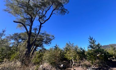 Parcelas Con Vista Al Volcán A 20 Min De Lican Ray