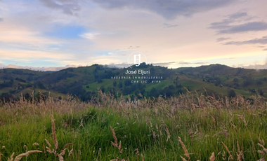 Terreno de 5 hectáreas en venta en Totorillas - Tarqui