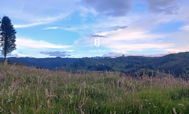 Terreno de 5 hectáreas en venta en Totorillas - Tarqui