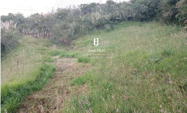 Terreno de 5 hectáreas en venta en Totorillas - Tarqui
