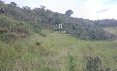 Terreno de 5 hectáreas en venta en Totorillas - Tarqui