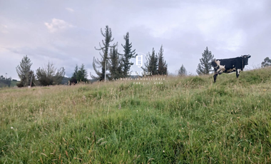 Terreno de 5 hectáreas en venta en Totorillas - Tarqui