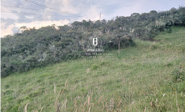 Terreno de 5 hectáreas en venta en Totorillas - Tarqui