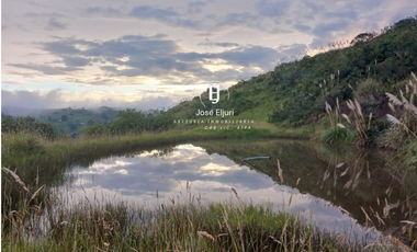 Terreno de 5 hectáreas en venta en Totorillas - Tarqui