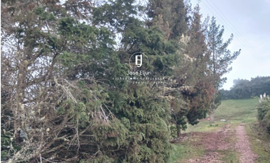 Terreno de 5 hectáreas en venta en Totorillas - Tarqui