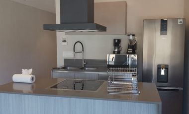 DEPARTAMENTOS EN LA MEJOR ZONA DE QUERETARO - Park Life Querétaro