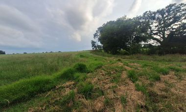 RANCHO EN VENTA EN AMEALCO