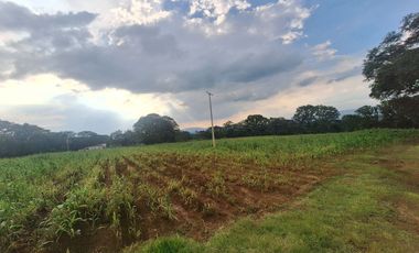 RANCHO EN VENTA EN AMEALCO