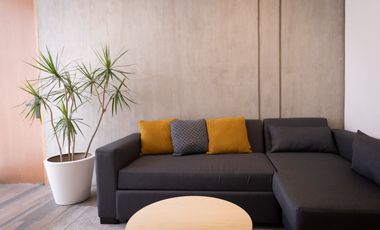 Junior suite en Park Life Condesa