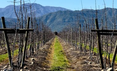 Se vende parcela plana en Los Niches, Curicó