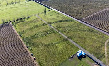 Se vende parcela plana en Los Niches, Curicó