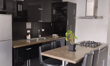 ARRIENDO HERMOSO APTO AMOBLADO CHICO RESERVADO