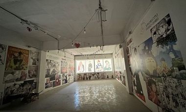 Local Comercial 155m2, Barrio República