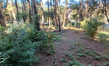 Casa en Venta - 3 Dormitorios + gran parque arbolado - Ranqueles entre Mansilla y Av. del Plata - Mar de las Pamp