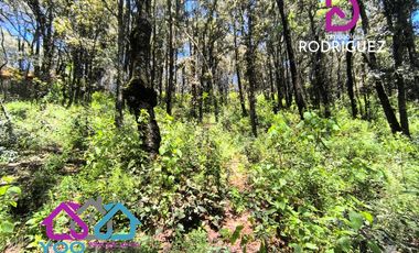 VENTA | Terrenos en Bosque Residencial Campestre, MINERAL DEL CHICO, HIDALGO