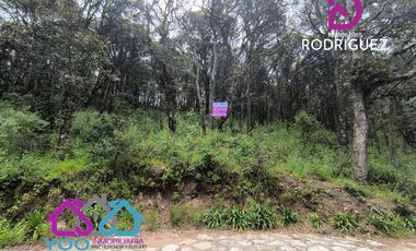 VENTA | Terrenos en Bosque Residencial Campestre, MINERAL DEL CHICO, HIDALGO