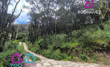 VENTA | Terrenos en Bosque Residencial Campestre, MINERAL DEL CHICO, HIDALGO