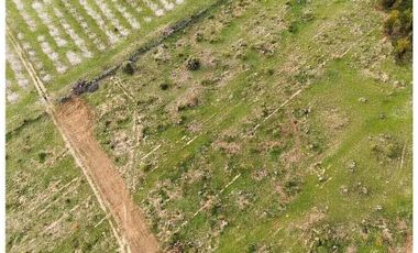 Codegua | Venta de Parcelas con Rol Cerca de Graneros