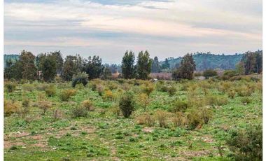 Codegua | Venta de Parcelas con Rol Cerca de Graneros