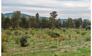 Codegua | Venta de Parcelas con Rol Cerca de Graneros