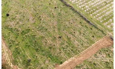 Codegua | Venta de Parcelas con Rol Cerca de Graneros