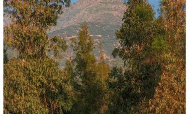 Codegua | Venta de Parcelas con Rol Cerca de Graneros