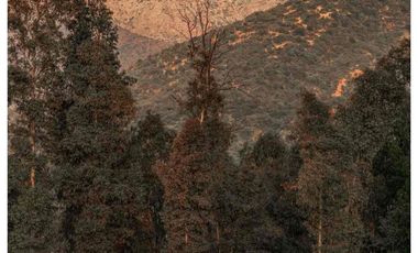 Codegua | Venta de Parcelas con Rol Cerca de Graneros