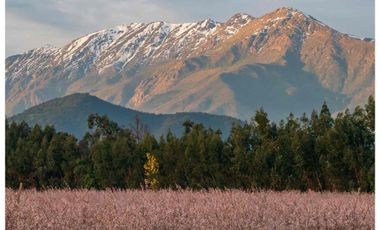 Codegua | Venta de Parcelas con Rol Cerca de Graneros