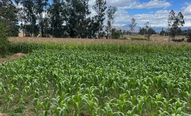 ¡Oportunidad Única! Terreno en Oyambarillo, Tababela - Vistas Impresionantes y Gran Potencial!
