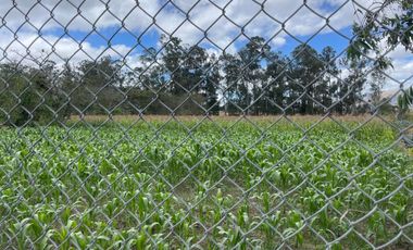 ¡Oportunidad Única! Terreno en Oyambarillo, Tababela - Vistas Impresionantes y Gran Potencial!