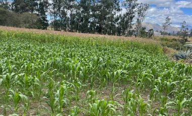 ¡Oportunidad Única! Terreno en Oyambarillo, Tababela - Vistas Impresionantes y Gran Potencial!