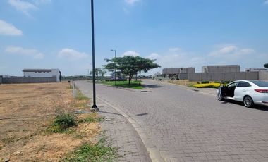 En venta espectacular terreno en Isla Celeste, etapa Babor, Ciudad Celeste, via a Samborondon