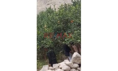 Por 19,500 Dólares Compra Tu Exótico Terreno Con Vista Al Rio En Lúcumo - Lunahuaná