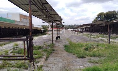 TERRENO 3000M2 SAN MATEO XOLOC TEPOTZOTLAN