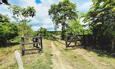 LOTE EN VENTA CORREGIMIENTO SAN ANTONIO SINCELEJO