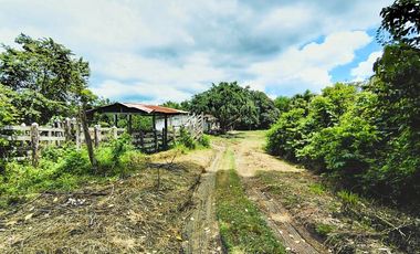 LOTE EN VENTA CORREGIMIENTO SAN ANTONIO SINCELEJO