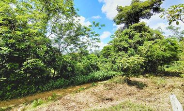 LOTE EN VENTA CORREGIMIENTO SAN ANTONIO SINCELEJO