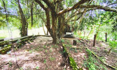 LOTE EN VENTA CORREGIMIENTO SAN ANTONIO SINCELEJO