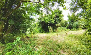 LOTE EN VENTA CORREGIMIENTO SAN ANTONIO SINCELEJO