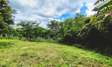 LOTE EN VENTA CORREGIMIENTO SAN ANTONIO SINCELEJO