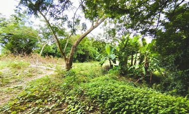 LOTE EN VENTA CORREGIMIENTO SAN ANTONIO SINCELEJO
