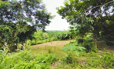 LOTE EN VENTA CORREGIMIENTO SAN ANTONIO SINCELEJO