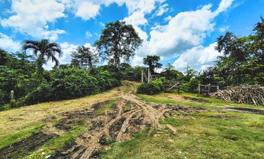 LOTE EN VENTA CORREGIMIENTO SAN ANTONIO SINCELEJO