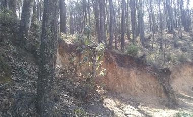 TERRENO VENTA REAL DEL MONTE RANCHO SAN VICENTE