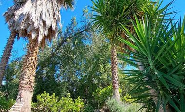 SE ARRIENDA MAGNIFICA PARCELA CON CASA DE 700MT2 EN CONSOMINIO LA AURORA DE CURACAVI