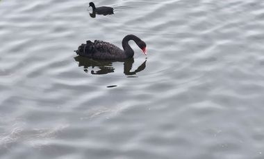 VENTA DE EXCLUSIVA CASA DE PLAYA EN EL CONDOMINIO LAGUNA BEACH - CERRO AZUL